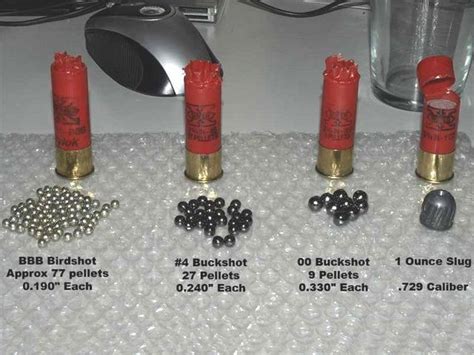 Guide To Shotgun Shell Types Ever Wondered What The Difference Is