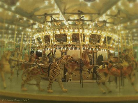 Dentzel Carousel At Glen Echo Park Maryland Photograph By Victoria