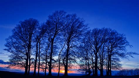 1920x1080 Sky Evening Strength Sunset Twilight Nature Trees