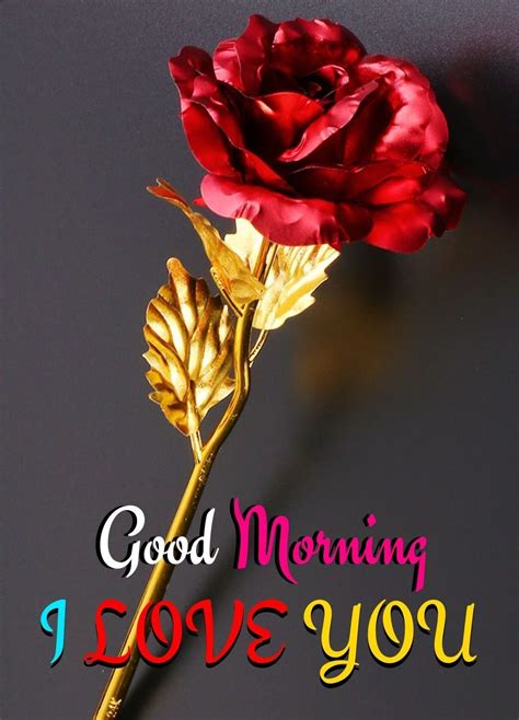 I Love You Images With Rose In 2020 Good Morning Flowers Good