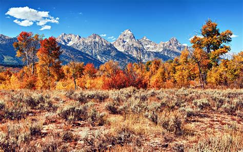 Autumn In Jackson Hole © Jeff R Clow A Shot In Jackson Ho Flickr