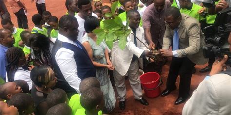 Перед началом матча чемпионата европы по футболу между сборными германии и франции в мюнхене активист greenpeace провел протестную акцию. CAMEROON: Greenpeace Africa creates a pilot green space in ...