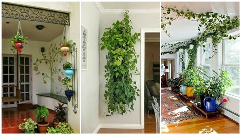 Most Beautiful Indoor Plant Arrangement Ideasamazing Hanging Plants