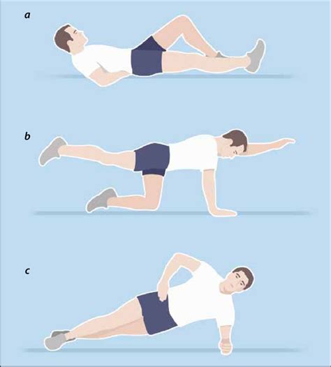 Core Stability Exercises Download Scientific Diagram