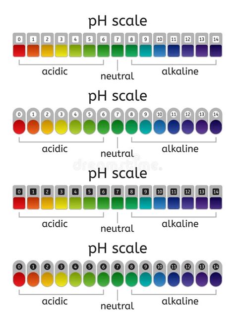 Vector Ph Scale Set Of Acidic Neutral And Alkaline Stock Vector