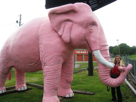 Large Pink Elephant In Fenton Missouri Silly America