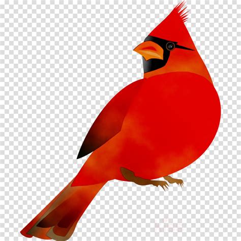 Download High Quality Cardinal Clipart Cool Transpare
