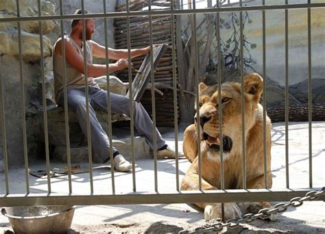 Pix Grove Man Living With Lions