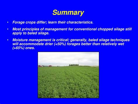 Baled Silage Management Us Dairy Forage Research Center Ppt Download