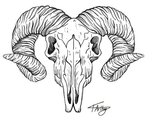 Ram Head Skull Black And White Fine Line Tattoo Design Art