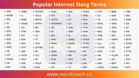 250 Popular Internet Slang Terms Vocab Quiz