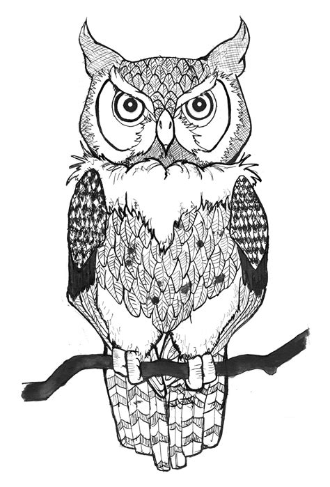 Owl Drawing Tattoo Sketch Coloring Page