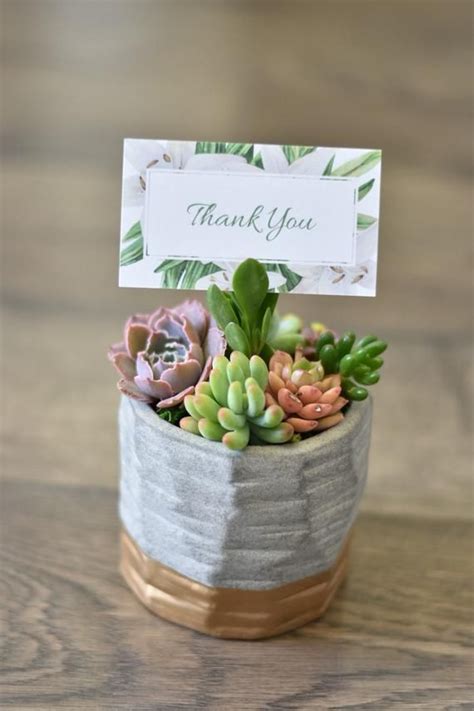 Similar to amazon gift cards, lowe's gift cards are a great gift idea for guys for housewarming because he can pick out his own house accessories. Thank you Succulent gift teacher gift succulent gift box ...