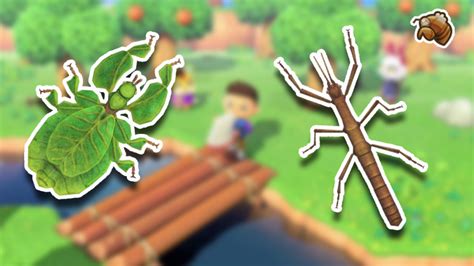 Animal Crossing New Horizons : Comment trouver la mue de cigale, la