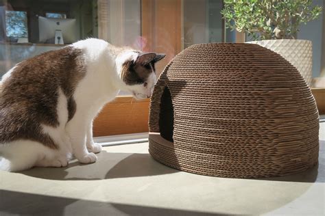 Pet Projects Cat Scratcher Bed House — P3 Designwork