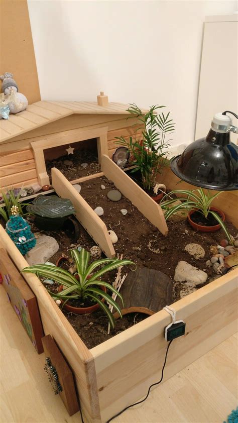 Pets turtle care tortoise house turtle terrarium turtle table. My tortoise enclosure with a few christmas decorations ...