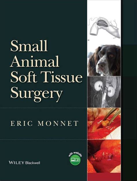 Small Animal Soft Tissue Surgery Ebook E Monnet 9781118392911