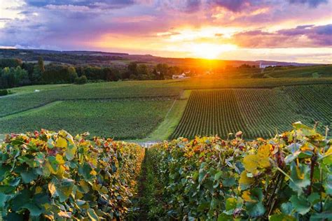 A Wine Lovers Guide To Visiting Champagne France