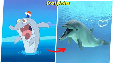 🐬zig And Sharko Characters In Real Life 👉theboom Youtube