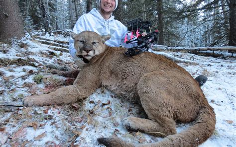 Cougar Hunt Nelson Blue Ridge Outfitters