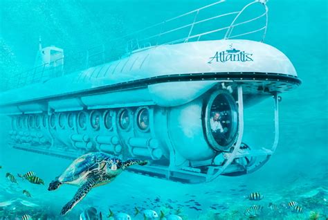 atlantis submarine day dive book island tours