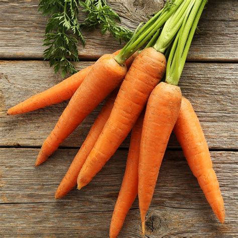 Carrot Little Fingers Plantnmore