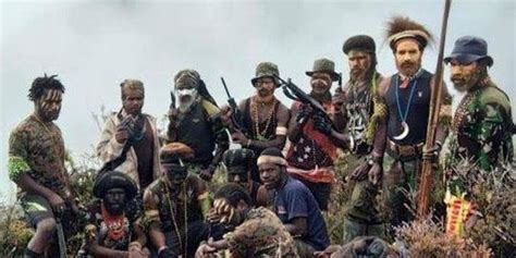 Daftar Aksi Barbar Kelompok Kriminal Bersenjata Di Papua Harus
