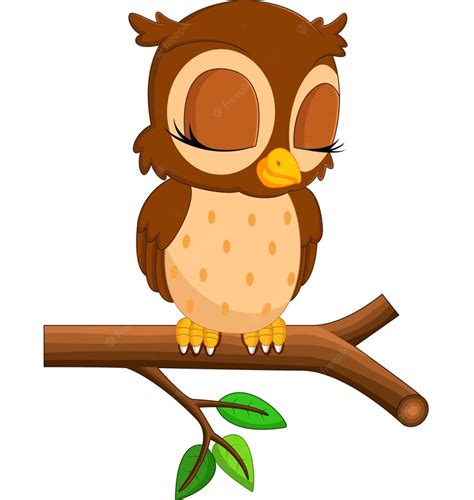 Premium Vector Cute Owl Cartoon