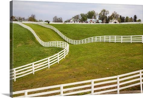 White Fence On Calumet Horse Farm Lexington Kentucky