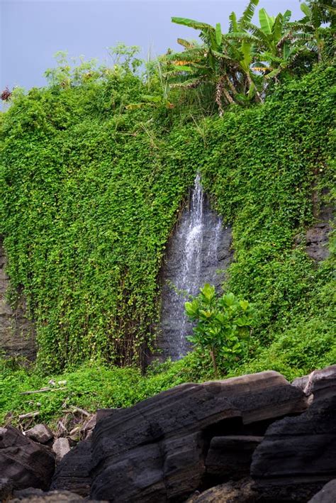 Verbazende Watervallen Van Bali Exotische Reisbestemming Verborgen Gr