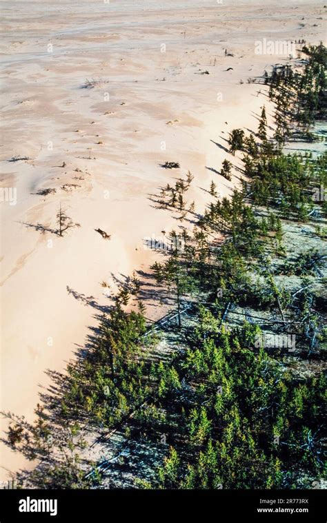 Aerial Of Athabasca Sand Dunes Provincial Park Saskatchewan Canada