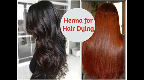 Top Image Colors Of Henna For Hair Thptnganamst Edu Vn