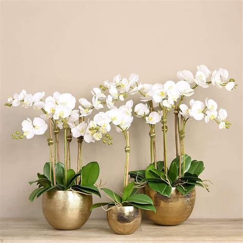 Silk Orchid Arrangements Artificial Orchid Arrangements Fake Orchid