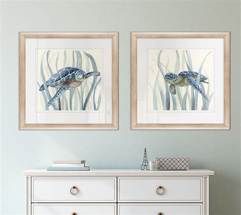 Beachcrest Home Turtle In Seagrass I Piece Picture Frame Graphic