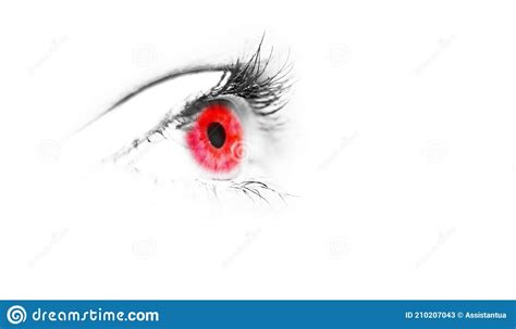 Vampire Eye Red Pupil Red Eye Isolated Macro Stock Image Image Of