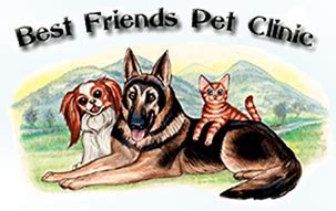 They bring us love and joy and become valued family members. Best Friends Pet Clinic / Rainbow Bridge