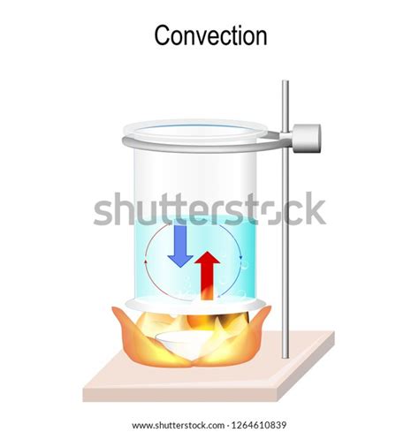 Convection Heat Transfer Within Fluids Advection Vector De Stock