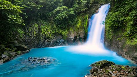 Rio Celeste Blue Waterfall Trip Tour Guanacaste Bringing Costa Rica