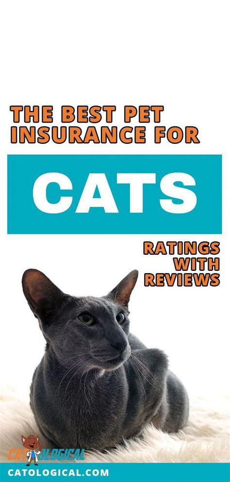 The cost of pet insurance varies based on several factors, such as where you live and what breed your pet is. best health insurance #HealthInsurance | Pet insurance ...