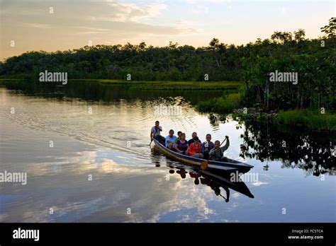 Canoe In The Amazon River In Ecuador Stock Photo Alamy