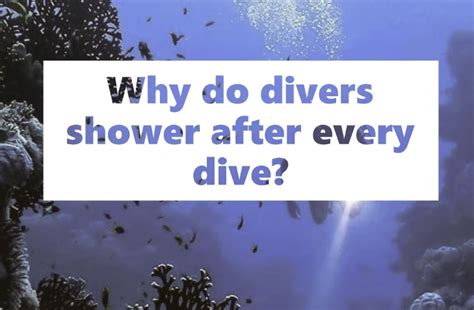 Why Do Divers Shower After Every Dive Scuba Gear Reviews