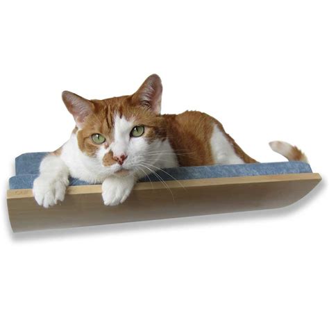 Curve Wall Cat Bed Walnutblue Catsplay Superstore