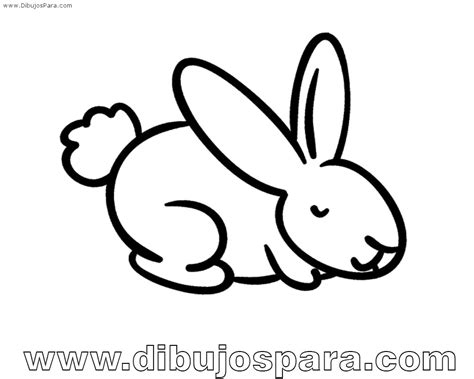 Dibujo De Conejo Facil Para Colorear Dibujos De Conejos Para Pintar
