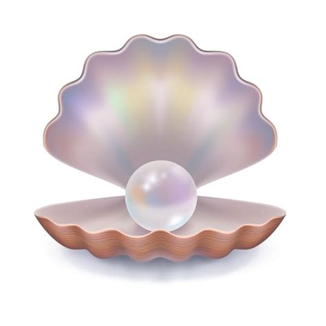 Download Pearl Background Png Open Clam Shell Vector Png Image With