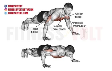 Incline bench cable fly 5. Push-Up (Chest) - Fitness Volt