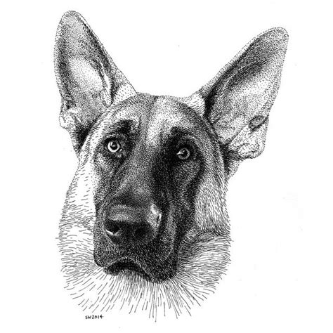 Nikko In 2020 Realistic Animal Drawings Ink Pen Art