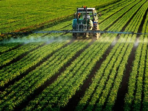 Farmers Conservationists Challenge Trumps Epa Monsanto Over Crop Damaging Pesticide Enews