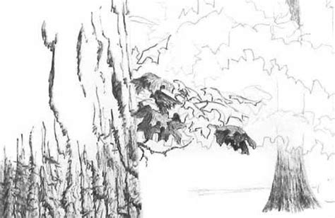 Steps for drawing your favorite tree in a realistic style. How to Draw Leaves On a Tree - Pen and Ink Drawing Tutorial