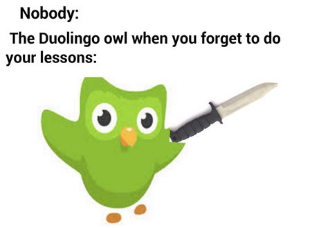 Duolingo Owl Memes On The Rise Invest In This Profitable Meme R