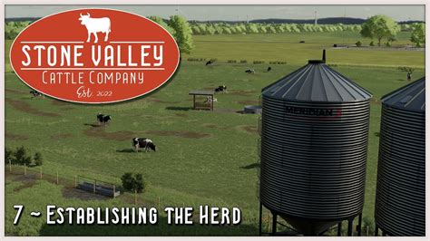 💥 Establishing The Herd Stone Valley Cattle Company Farming